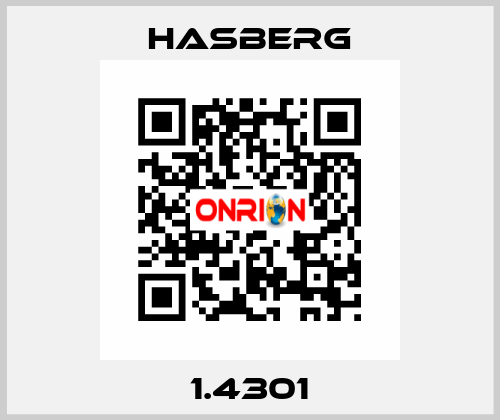 1.4301 Hasberg