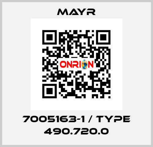 7005163-1 / Type 490.720.0 Mayr