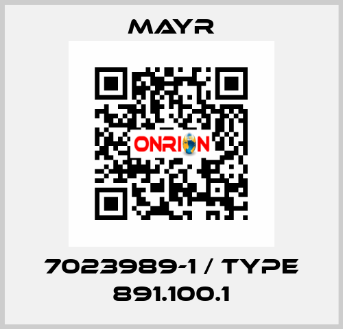 7023989-1 / Type 891.100.1 Mayr