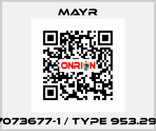 7073677-1 / Type 953.291 Mayr
