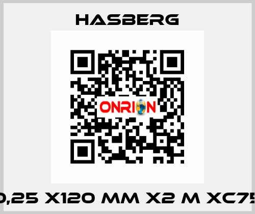 0,25 X120 MM X2 M XC75 Hasberg