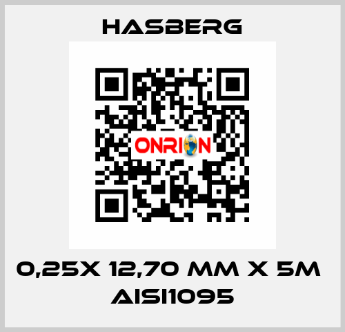 0,25X 12,70 MM X 5M  AISI1095 Hasberg