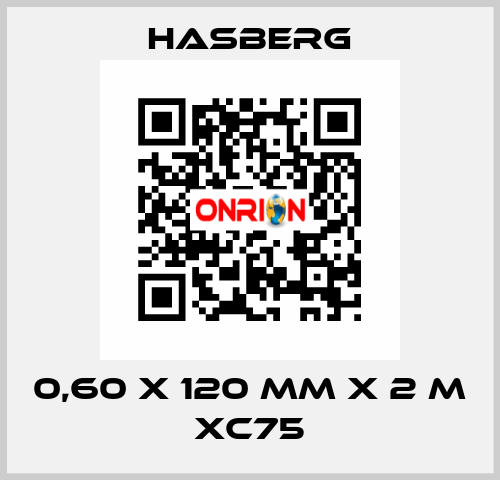 0,60 X 120 MM X 2 M XC75 Hasberg