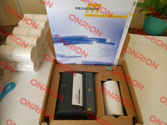 GPT-4454-V.24 DC/DC-RS232 Megatron